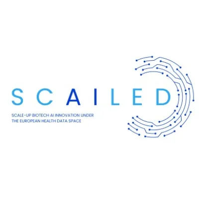 Projektvisual von SCAILED mit kreisförmigem Linienmotiv